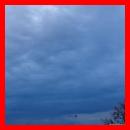 (77/171): photo_162.jpg