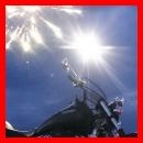 (109/171): photo_218.jpg