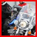 (113/171): photo_228.jpg