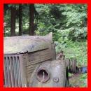 (121/171): photo_251.jpg