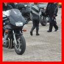 (150/171): photo_358.jpg